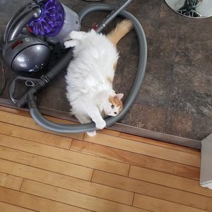 Meet your Posher, Teresa